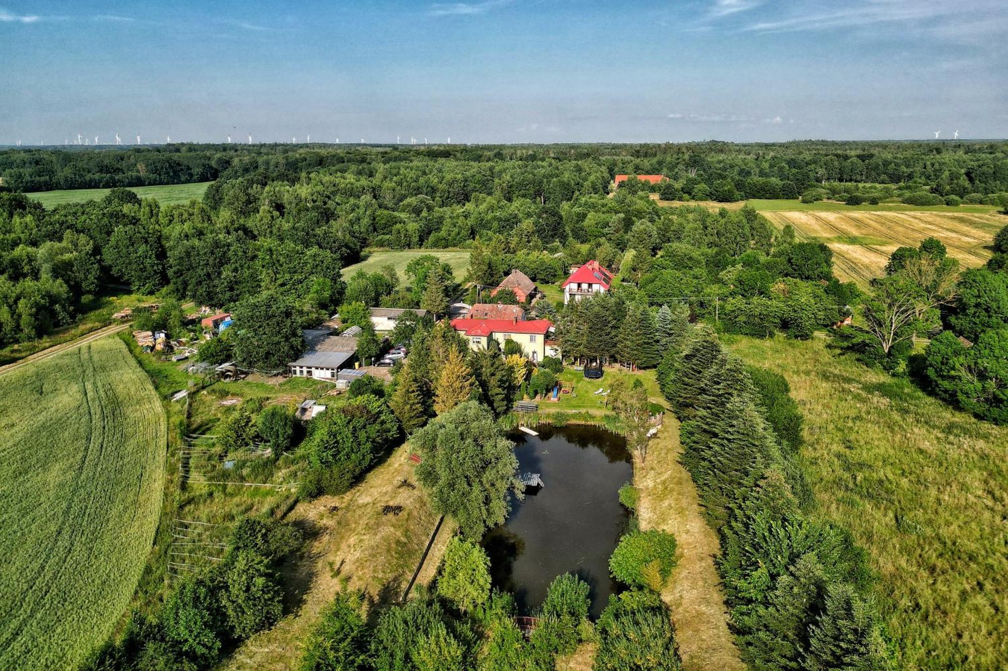 Agroturystyka Nowy Krakow Jezyce Dış mekan fotoğraf